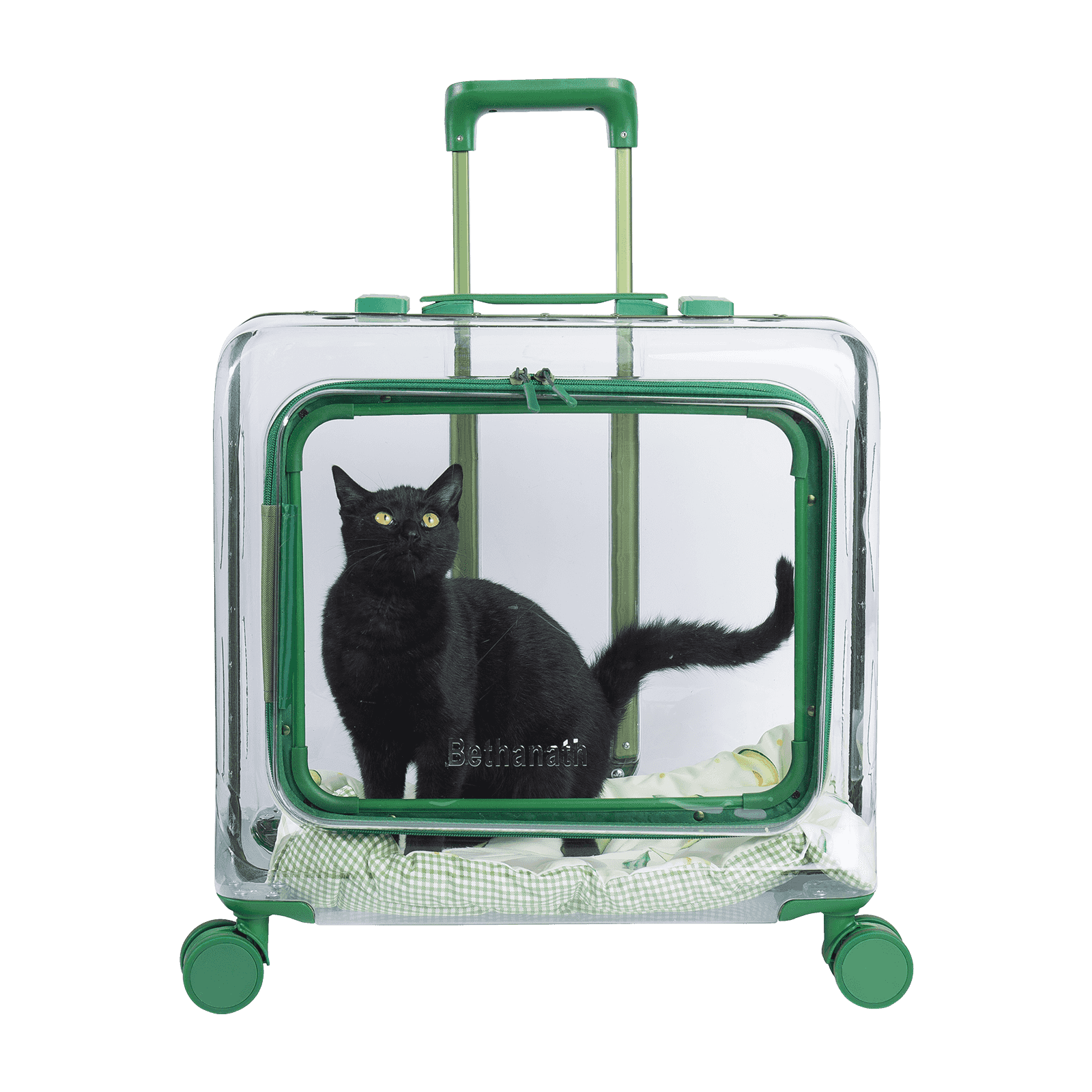 Alegeți un transport confortabil în aer liber pentru animalele dvs. de companie